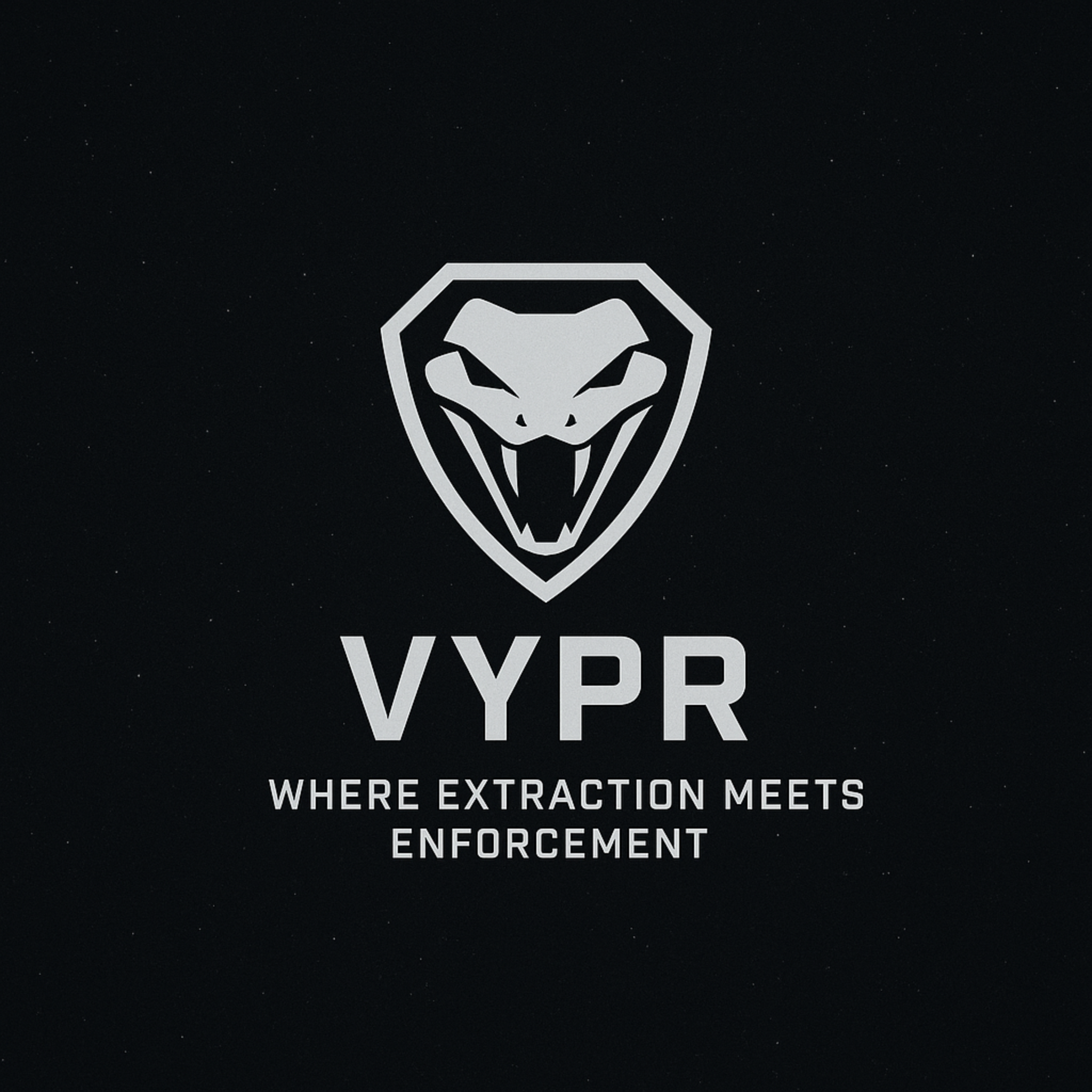 VYPR logo